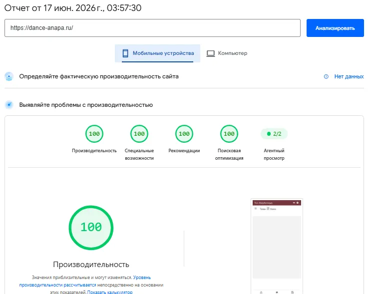 100% Смартфоны